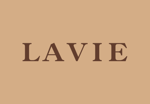 福建-LAVIE特许经营备案成功